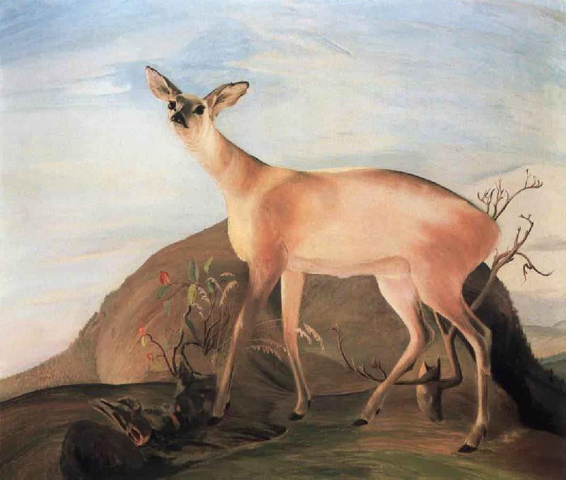 Kosztka, Tivadar Csontvry Deer China oil painting art
